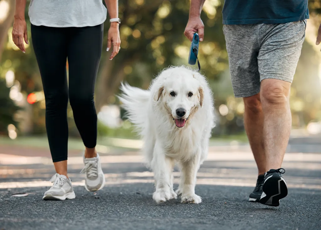 Active Lifestyle Neighborhoods | Southwyck Communities | New Homes in Atlanta